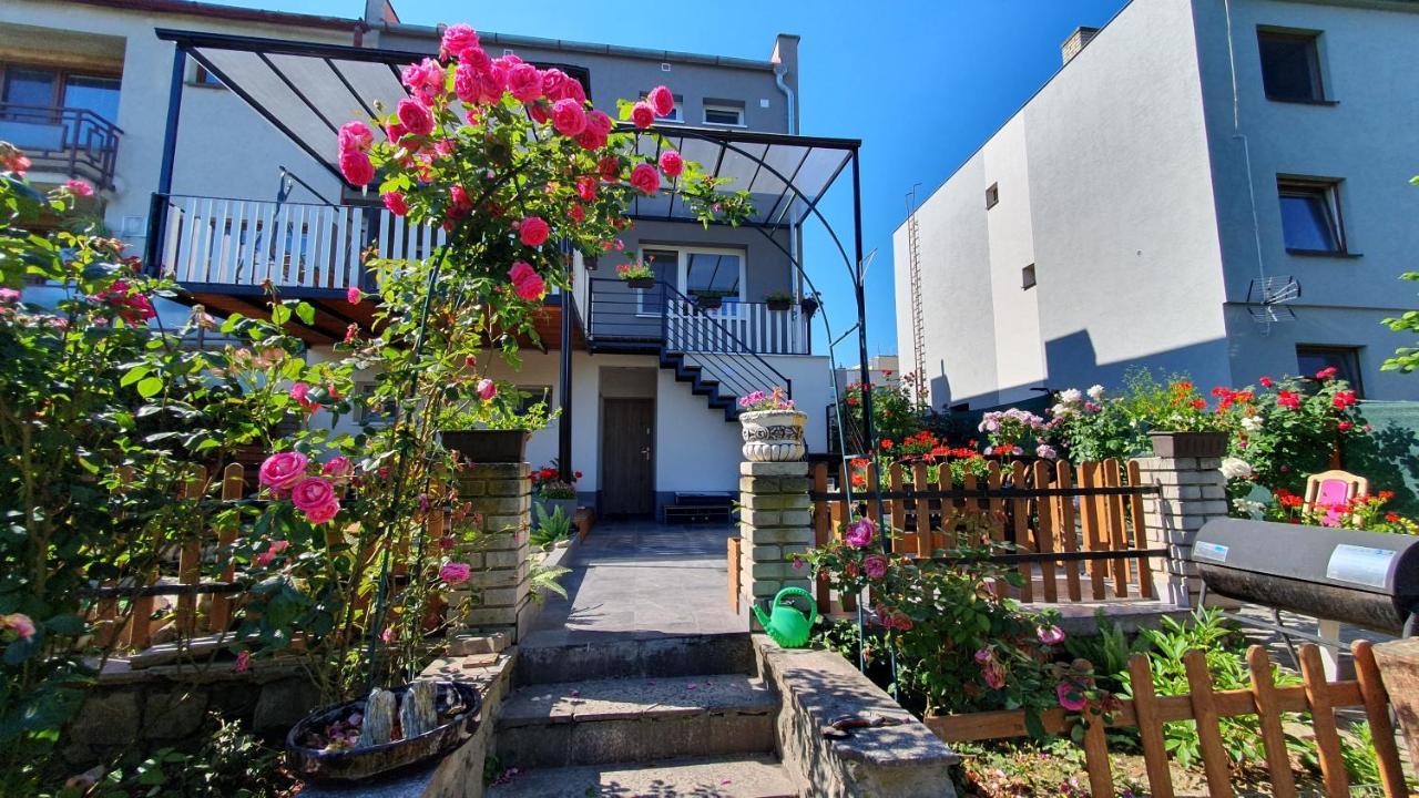 David Home 56 Зноймо Экстерьер фото
