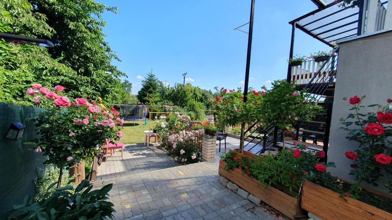 David Home 56 Зноймо Экстерьер фото